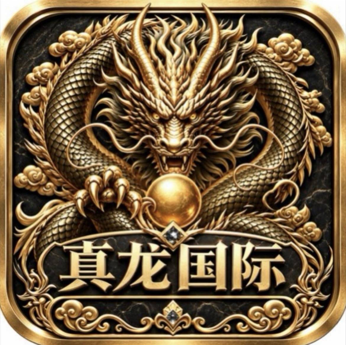 真龙国际准备上线